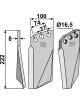 Dent rotative, modèle gauche