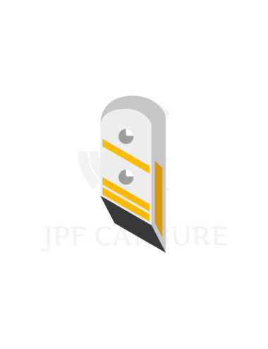 Pointe plate droite avec plaquettes carbure et rechargement pour soc de charrue.