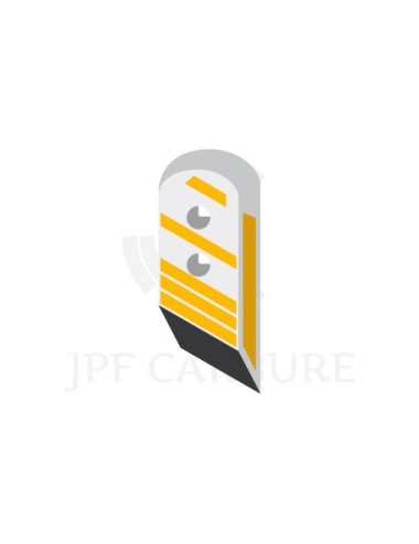 Pointe droite avec plaquettes carbure et rechargement pour soc de charrue.