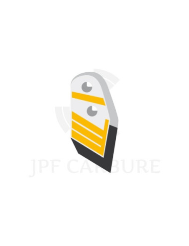 Pointe droite avec plaquette latérale et rechargement pour soc de charrue.