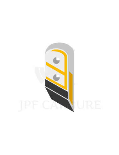 Pointe droite avec plaquettes carbure, rechargement et plaquettes arrière pour soc de charrue.