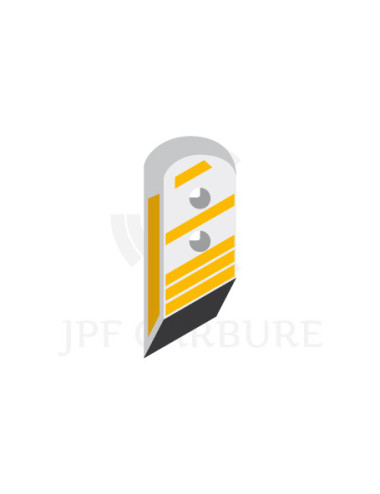 Pointe gauche avec plaquettes carbure et rechargement pour soc de charrue.