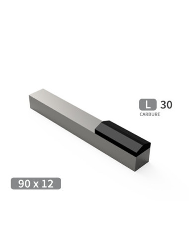 Mise carbure pour herse et rotor, longueur du carbure 30 mm.