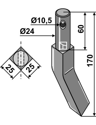 Dent rotative - modèle droit