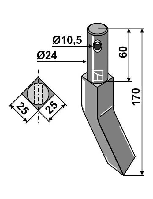 Dent rotative - modèle droit