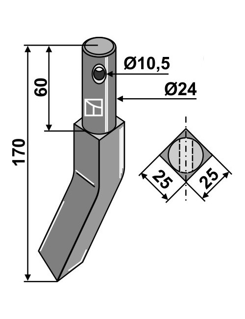 Dent rotative, modèle gauche