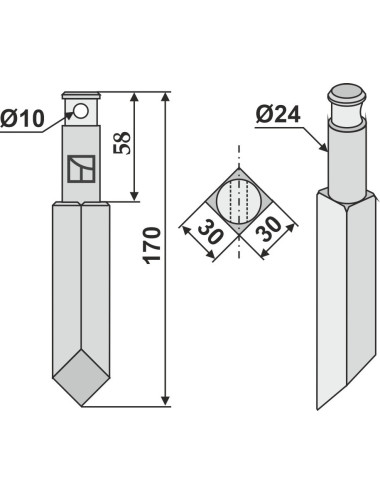 Dent rotative