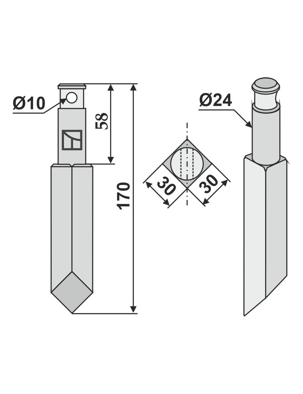 Dent rotative