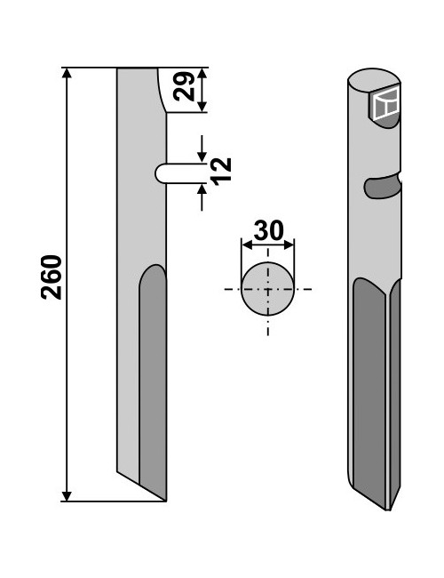 Dent rotative