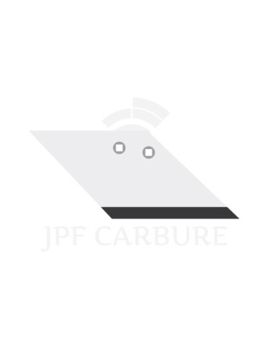 Aileron droite avec plaquettes carbure pour Aramulch.
