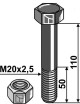 Boulon avec écrou à freinage interne - M20 x 2,5 - 10.9