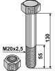 Boulon avec écrou à freinage interne - M20 x 2,5 - 10.9