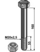 Boulon avec écrou à freinage interne - M20 x 2,5 - 10.9