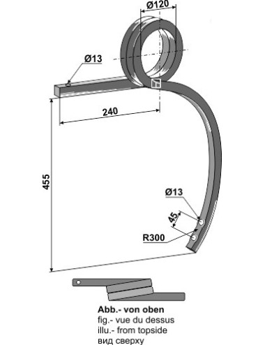 Dent double spire, gauche