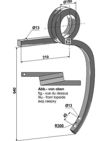 Dent double spire, gauche