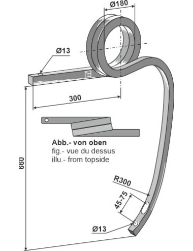 Dent double spire, gauche