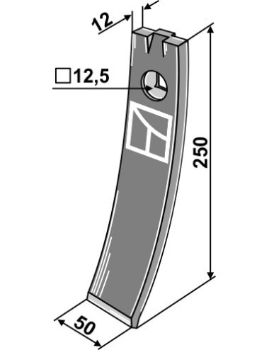 Pointe adaptable