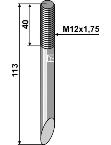 Dent rupteur