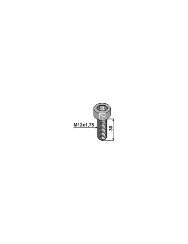 Boulon à 6 pans creux - M12x1,75 - 10.9