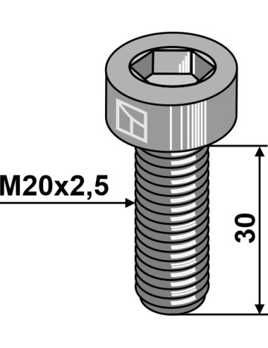 Boulon à 6 pans creux - M20x2,5 - 10.9
