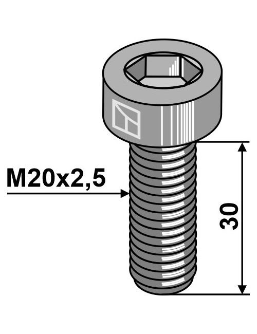 Boulon à 6 pans creux - M20x2,5 - 10.9