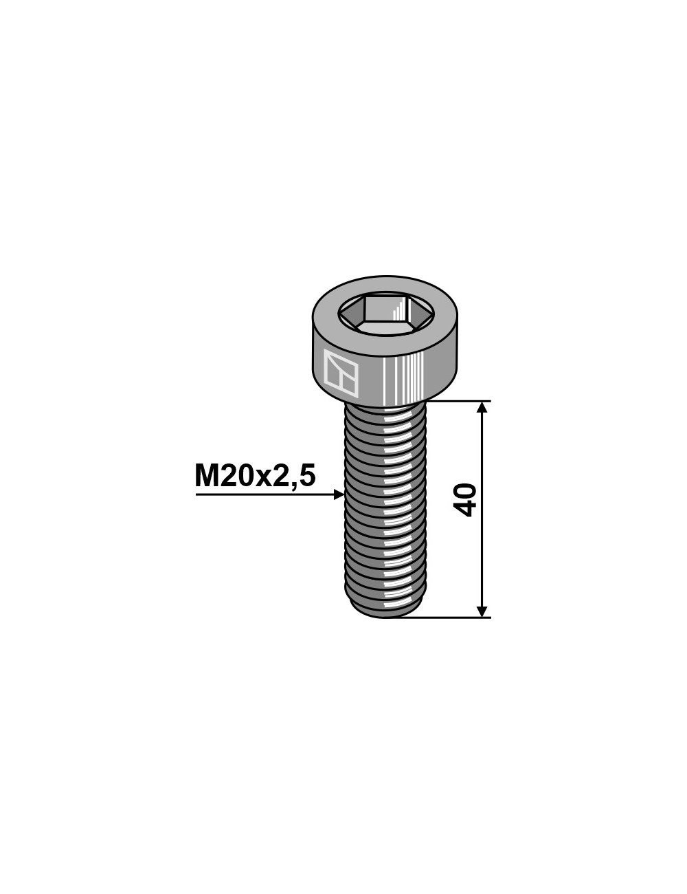 Boulon à 6 pans creux - M20x2,5 - 10.9