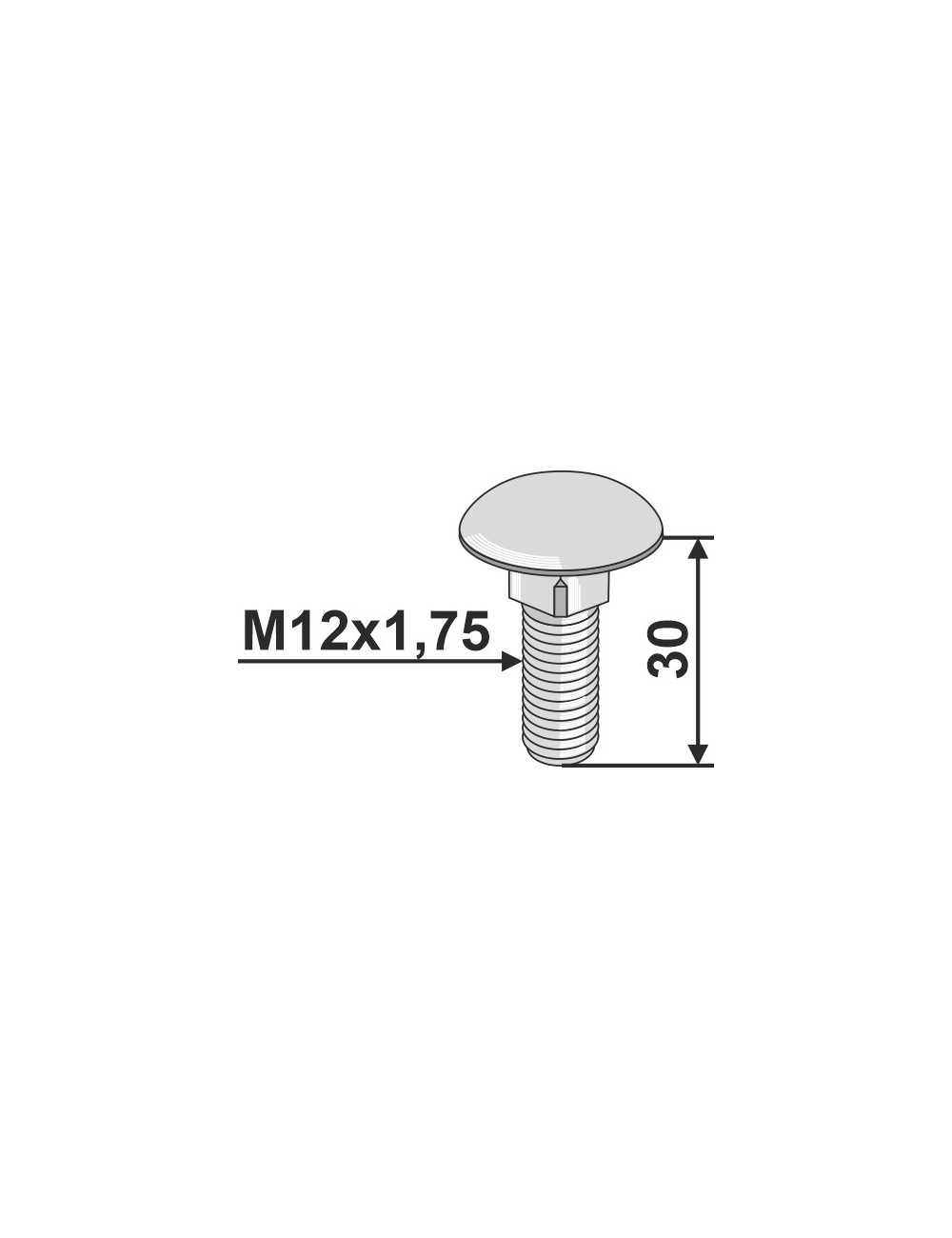 Boulon M12x1,75